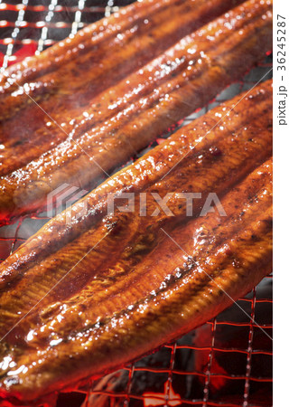 鰻の蒲焼 36245287