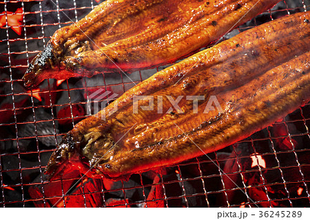 鰻の蒲焼 36245289