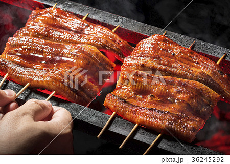 鰻の蒲焼 鰻の蒲焼 36245292