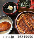 名古屋 うなぎ丼 観光 36245950