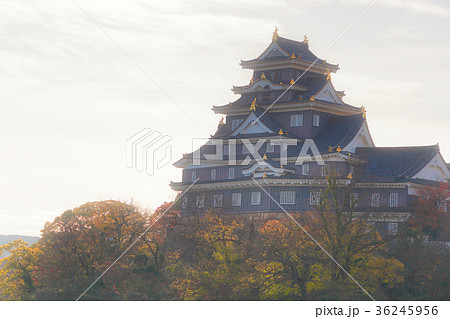 岡山城 岡山城 36245956