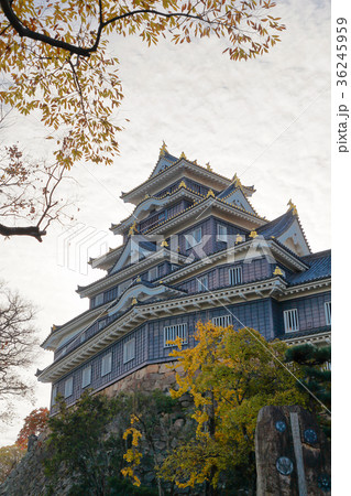 岡山城 岡山城 36245959
