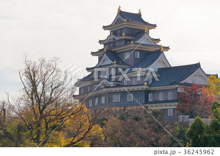 岡山城 36245962