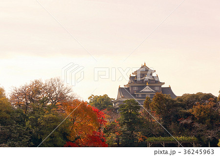 岡山城 岡山城 36245963