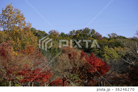 秋色山景色 36246270