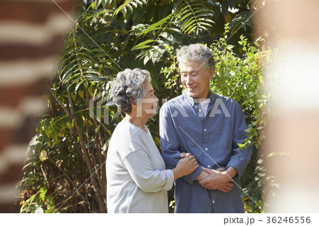 高齢者 老人 夫婦 36246556