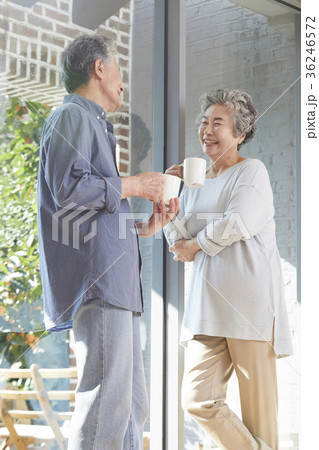 高齢者 老人 見開き 36246572