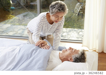 看護 高齢者 老人 36246582