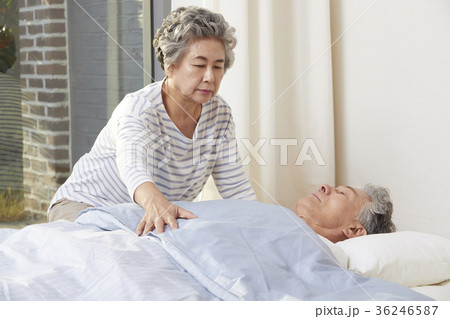看護 高齢者 老人 36246587