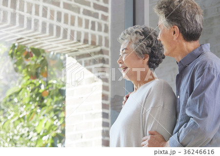 眺める  外を見る 高齢者 36246616
