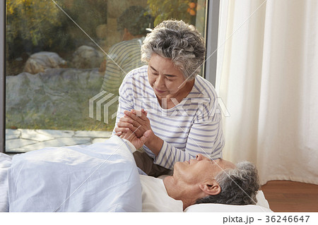看護 高齢者 老人 36246647