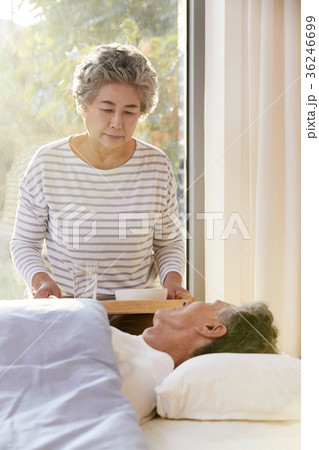 看護 高齢者 老人 36246699