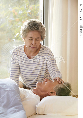 看護 心配 高齢者 36246714