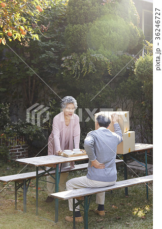 高齢者 老人 後姿 36246727