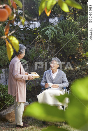 高齢者 老人 夫婦 36246998