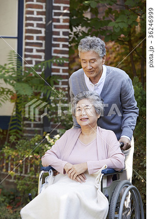 看護 高齢者 老人 36246999