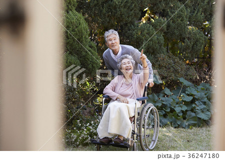 看護 高齢者 老人 36247180