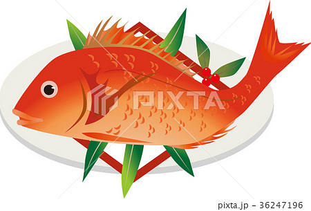 鯛の姿焼きのイラスト素材 36247196 Pixta