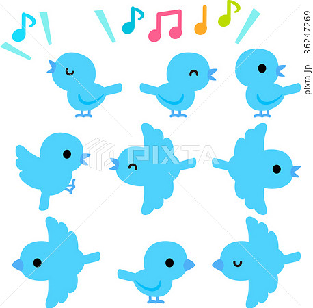 青い小鳥のイラストセット 36247269