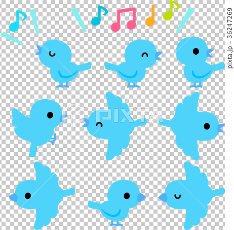 青い小鳥のイラストセット 36247269