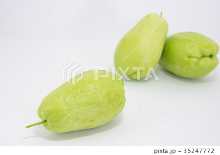 ハヤトウリ ハヤトウリ 36247772