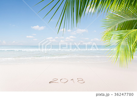 new year tropic new year tropic 36247780