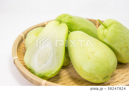 ハヤトウリ ハヤトウリ 36247824