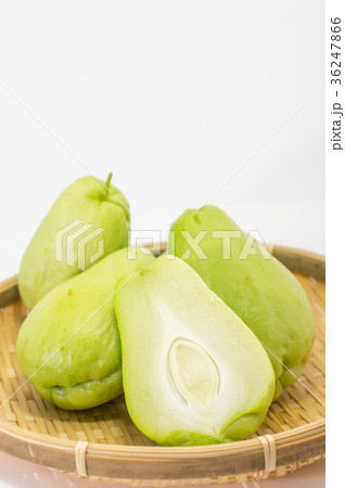 ハヤトウリ ハヤトウリ 36247866