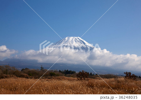 秋の朝霧高原からの富士山 秋の朝霧高原からの富士山 36248035