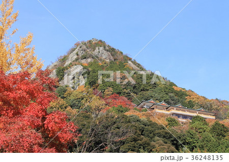 太郎坊山 36248135