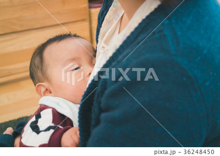 5 months old 5 months old 36248450