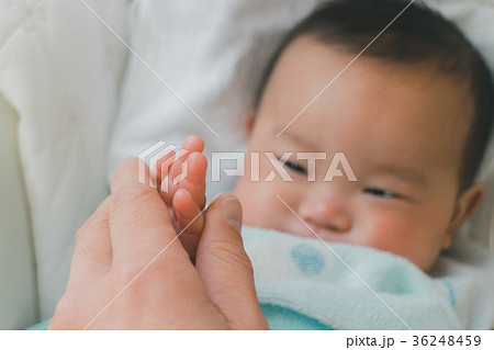 5 months old 36248459