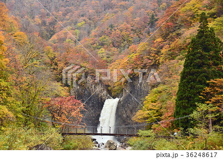 苗名滝 苗名滝 36248617