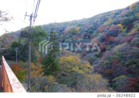 箕面公園 36248922