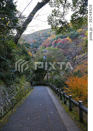 箕面公園 36248926