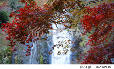 箕面公園 36248930