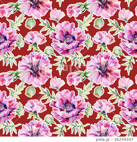 Wildflower poppy flower pattern in a watercolor 36249307