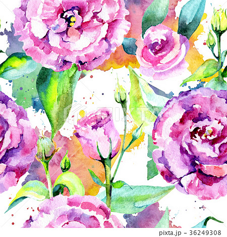 Wildflower eustoma flower pattern in a watercolor 36249308