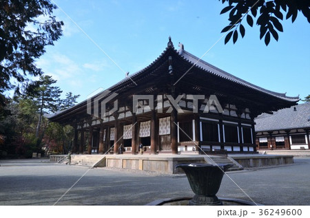 紅葉に彩られた唐招提寺の金堂 36249600