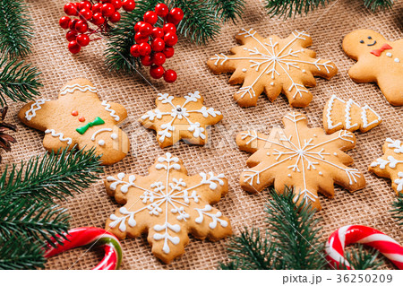 Christmas gingerbread cookies homemade Christmas gingerbread cookies homemade 36250209