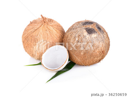 whole mature and half cut young coconut with leaf 36250659