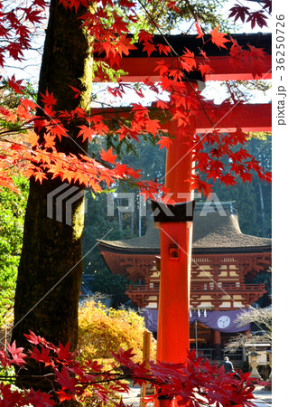 丹生都比売神社の鳥居と楼門 丹生都比売神社の鳥居と楼門 36250726