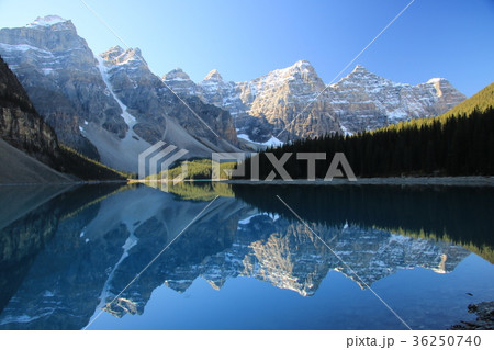 カナダ　カナディアンロッキー 36250740