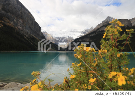 カナダ　カナディアンロッキー 36250745