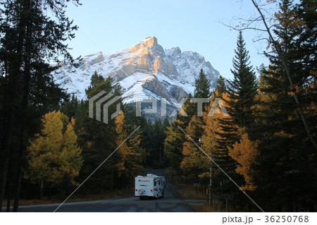 カナダ　カナディアンロッキー 36250768