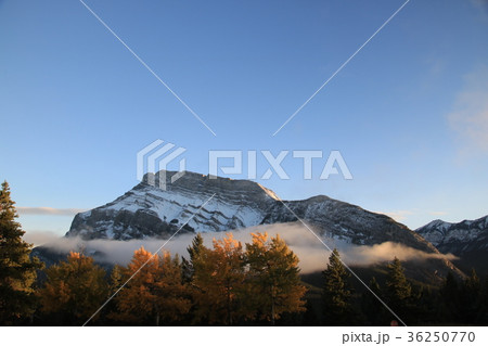 カナダ　カナディアンロッキー 36250770