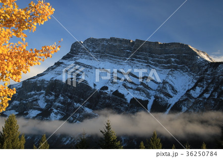 カナダ カナディアンロッキー カナダ カナディアンロッキー 36250784