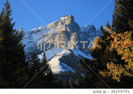 カナダ　カナディアンロッキー 36250791