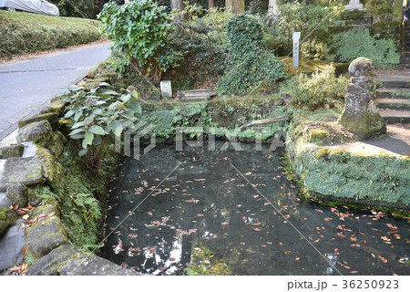 甘露の井 36250923