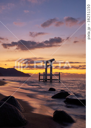 桜井二見ヶ浦の夫婦岩 36251150